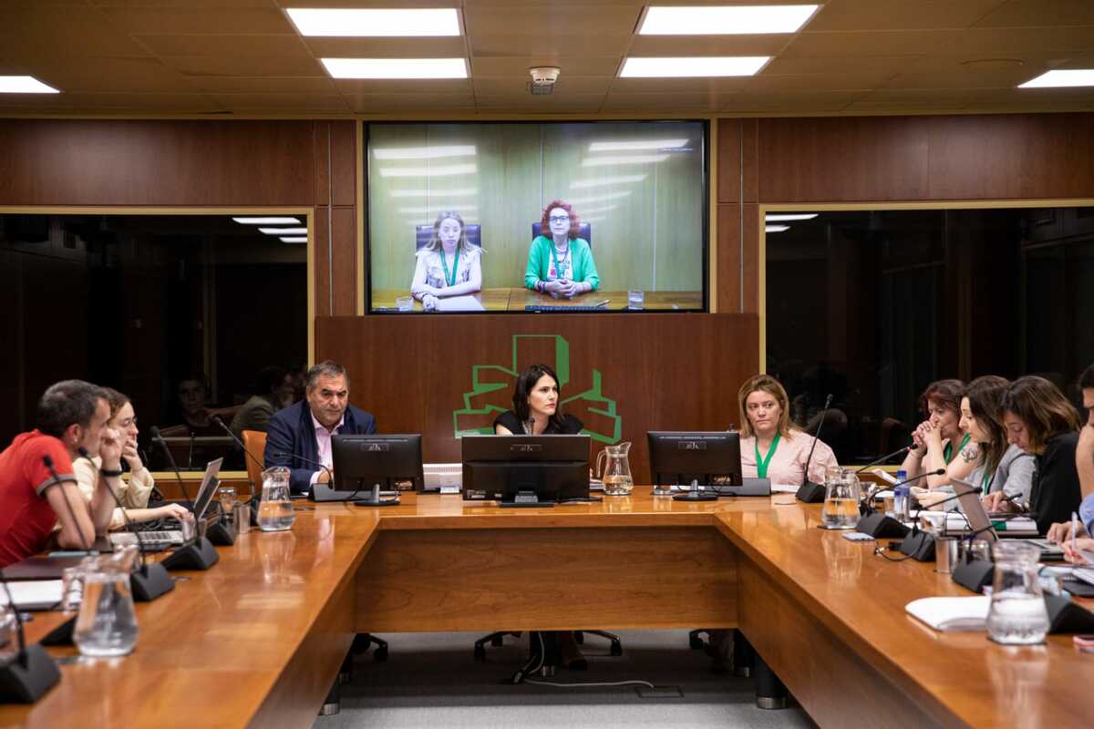 Comparecencia mujeres parlamento vasco