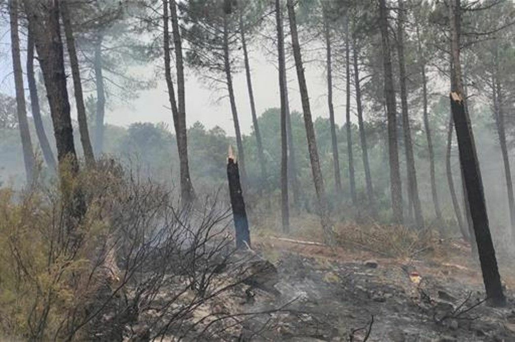 Abandono rural e incendios: violencia moral