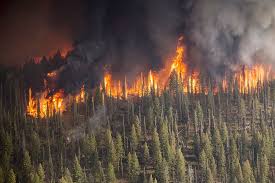 Incendio