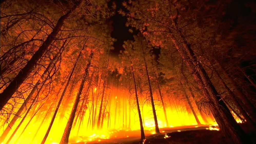 Arde España incendio-bosque