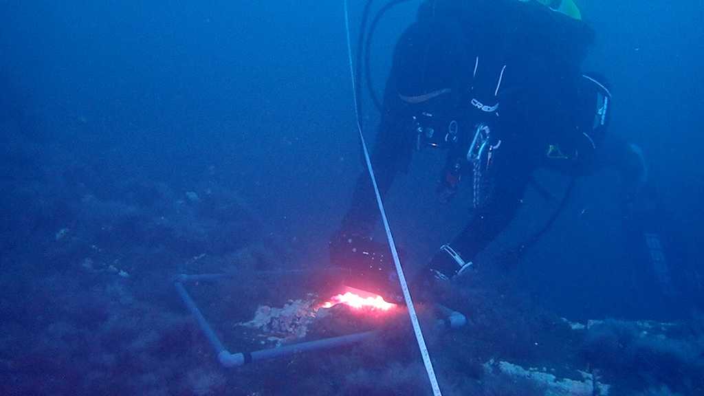 buceo_tajogaite_ieo