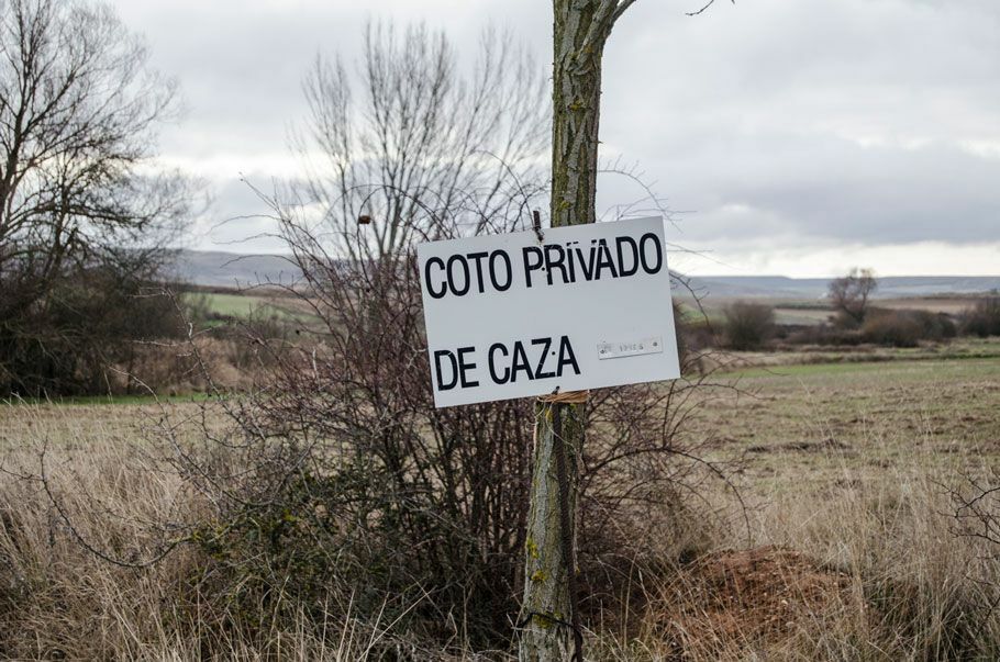 cotos-de-caza