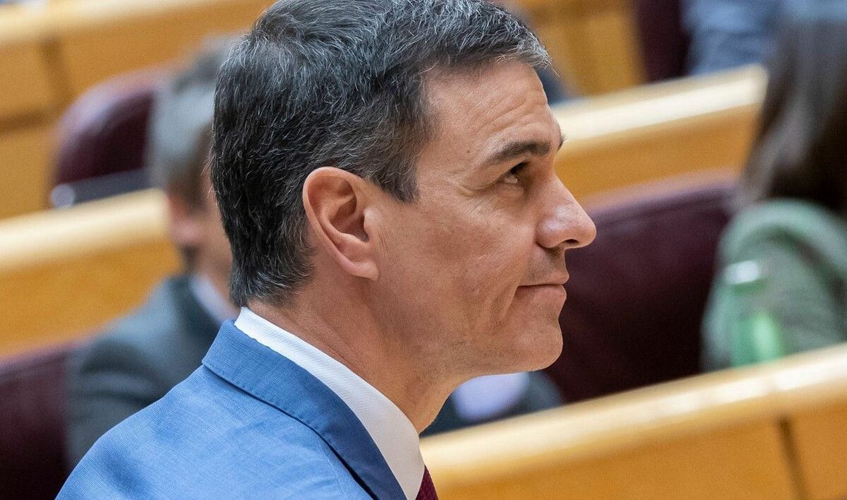 Sanchez Trasposición