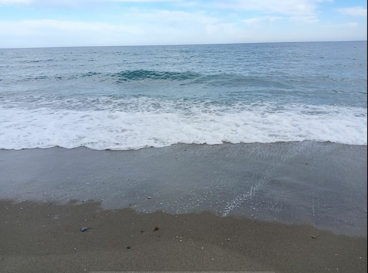 Conectar con la neuro creatividad foto Gonzalo Osés