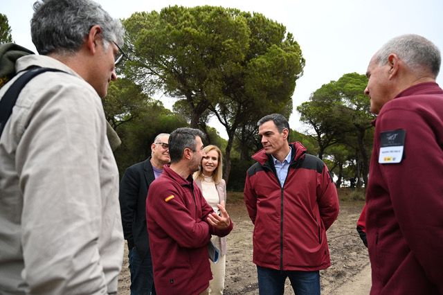 Sanchez doñana