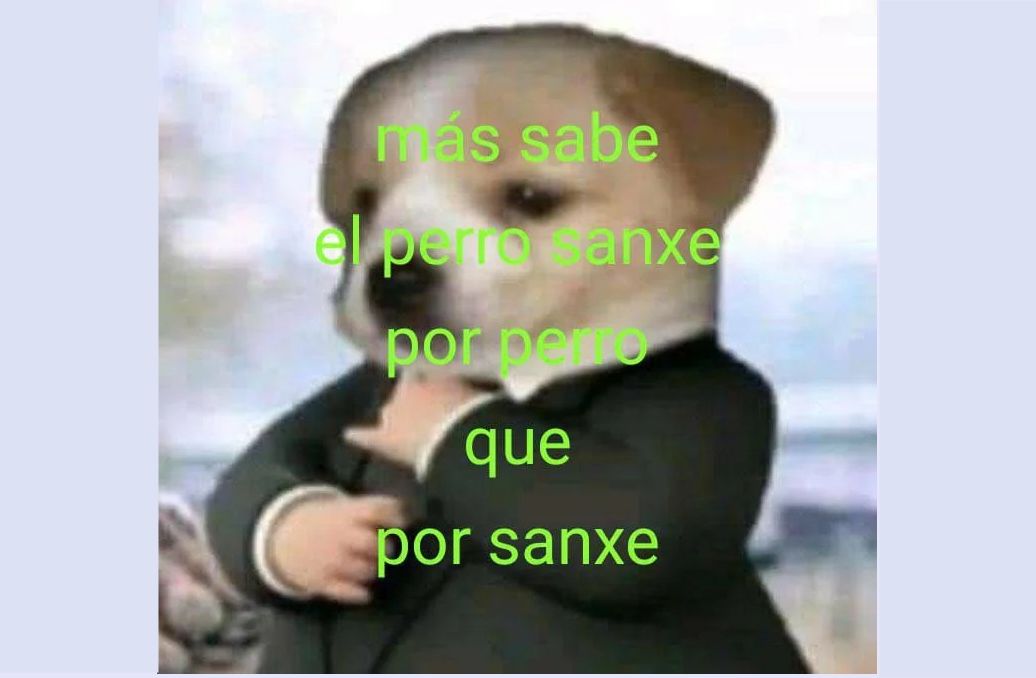 perro sanxe