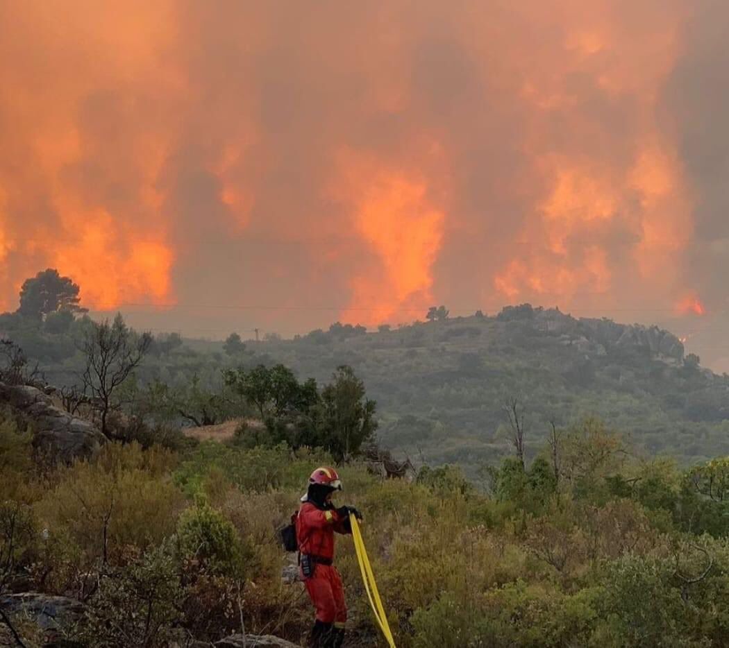 Para hacer frente a los incendios forestales en todo el mundo, es necesario minimizar el número de incendios forestales y gestionar el paisaje en las regiones vulnerables, según el informe