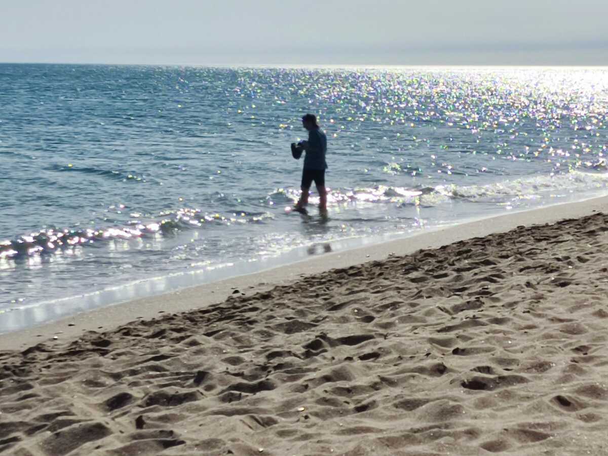 Dejar de ser para Ser Gonzalo Osés DiarioSabemos