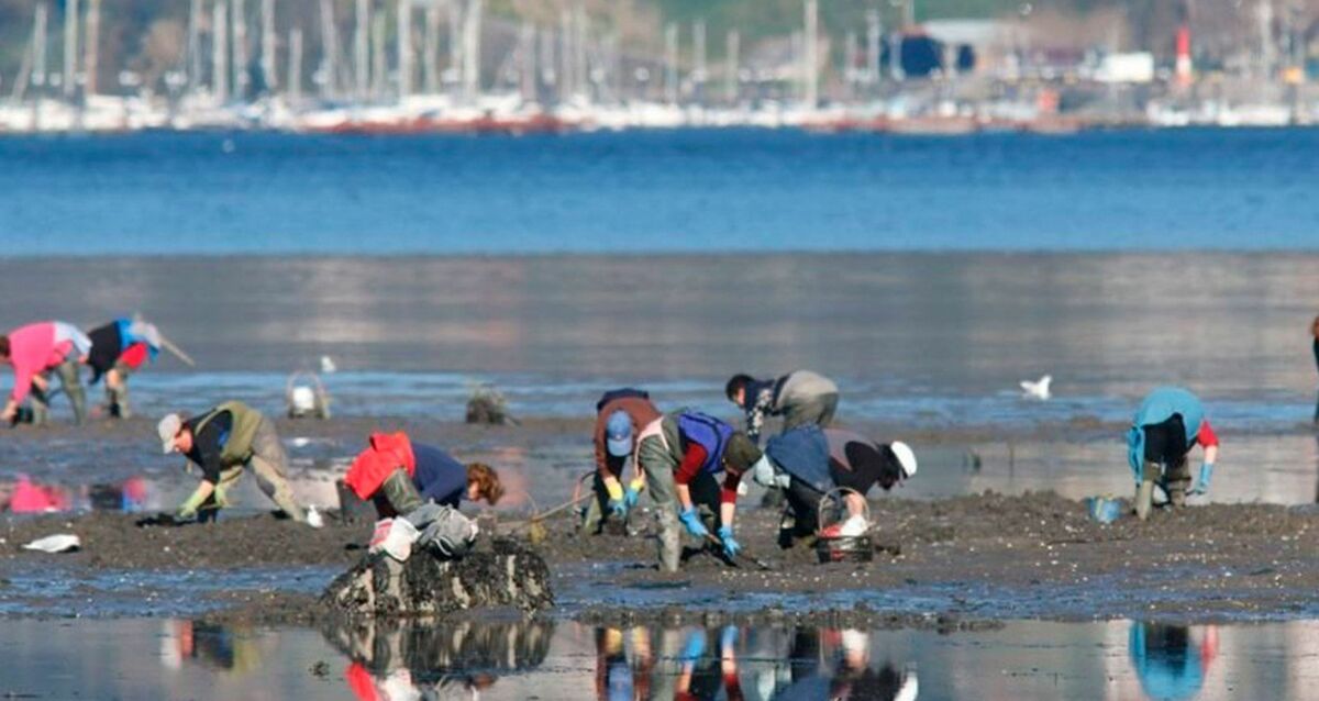 mariscadoras
