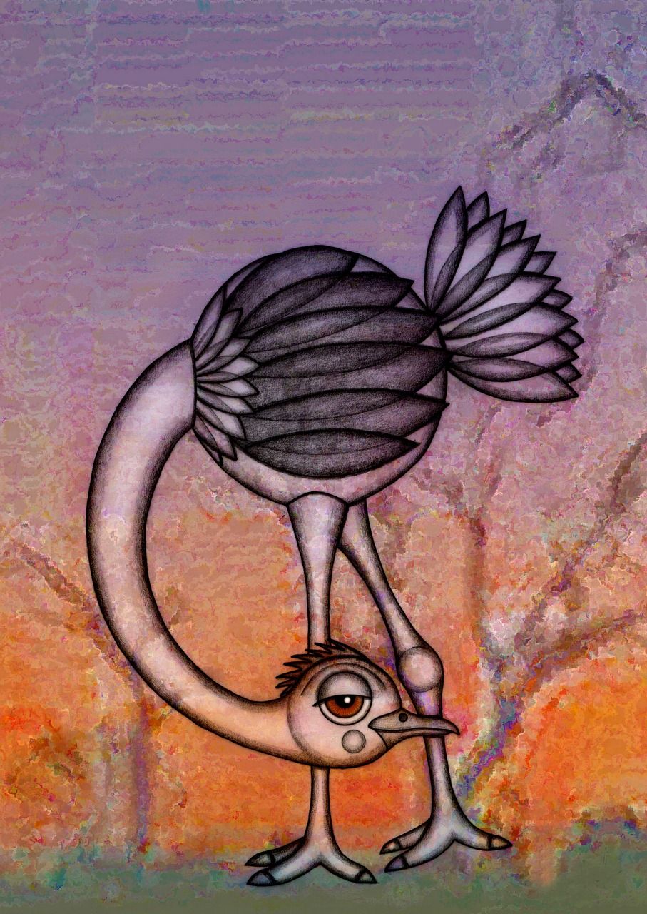 avestruz dibujo