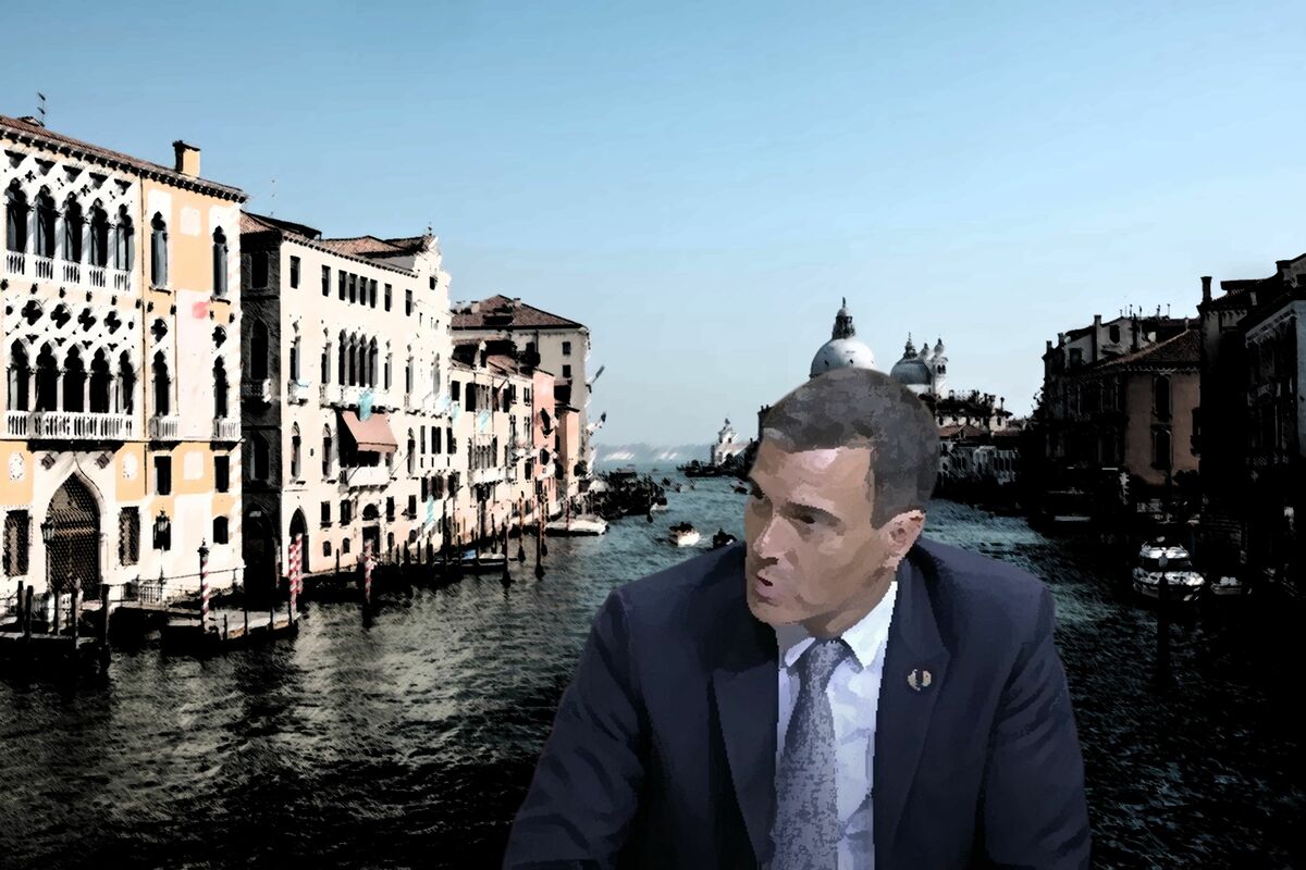 Sanchez Venecia