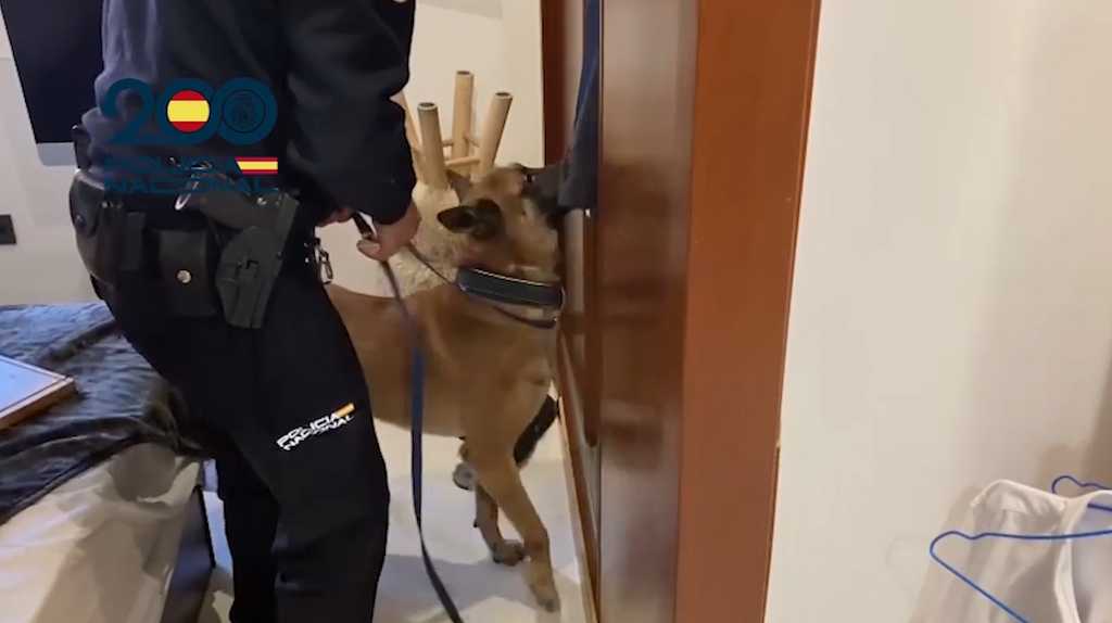 policía