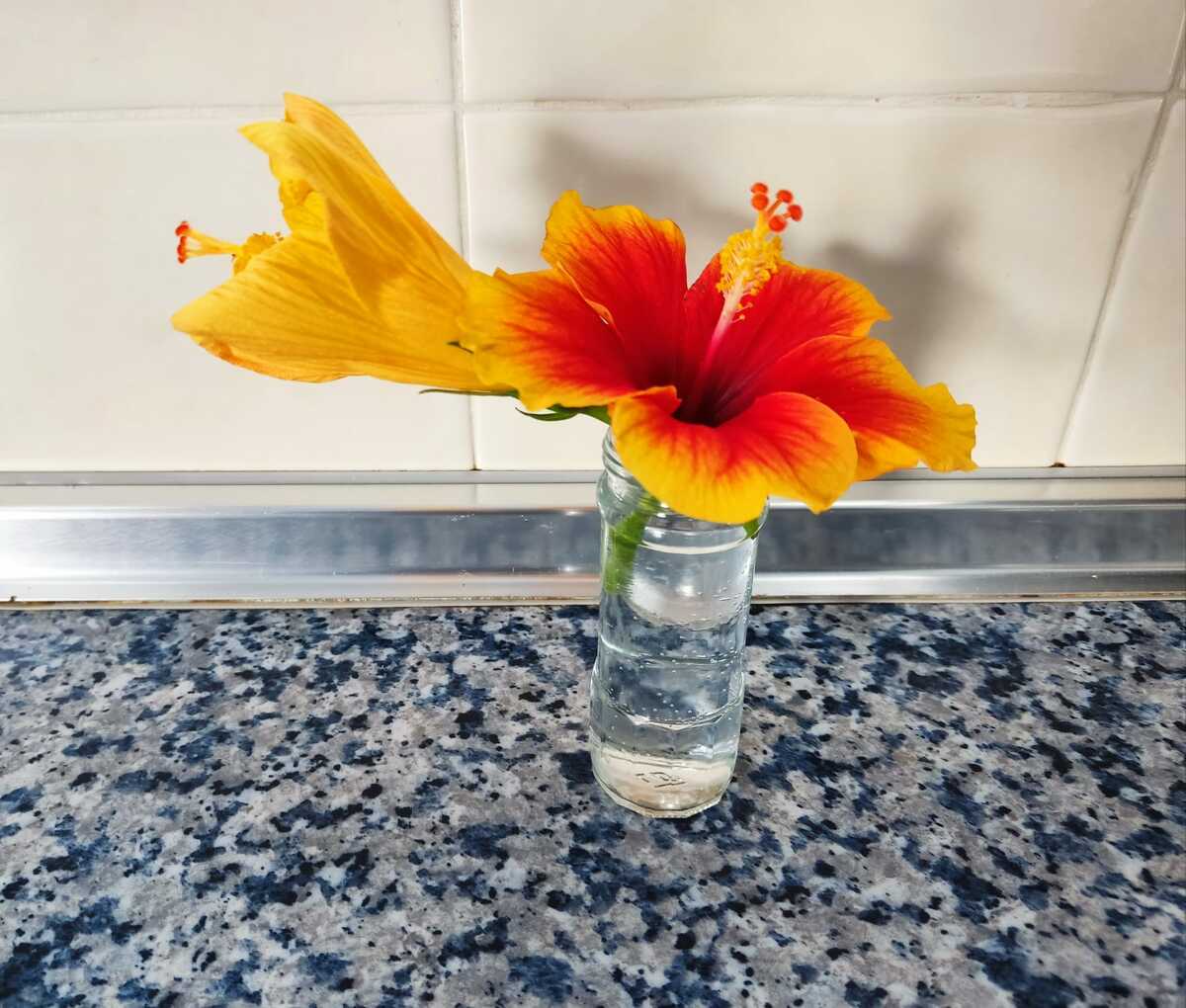 Relacionarse para ser Gonzalo Osés