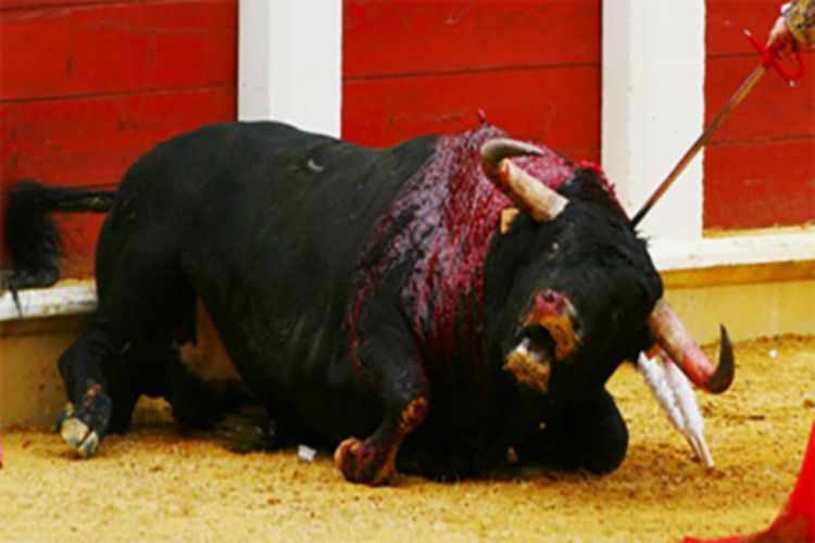 Hay que dejar atrás el salvajismo ancestral