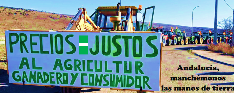 Europa Agricult Product revoluciona el consumo de frutas y hortalizas en España: compra directa, precios justos y apoyo al agricultor