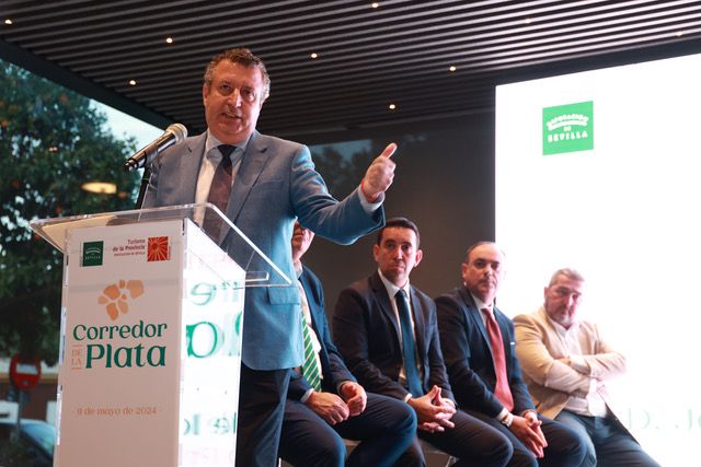 Presidente Diputación
