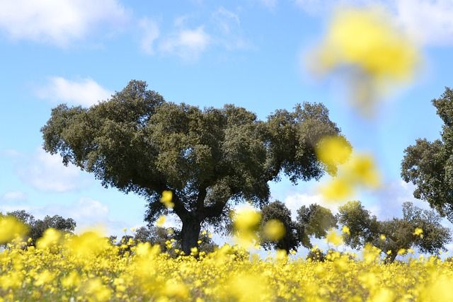 extremadura