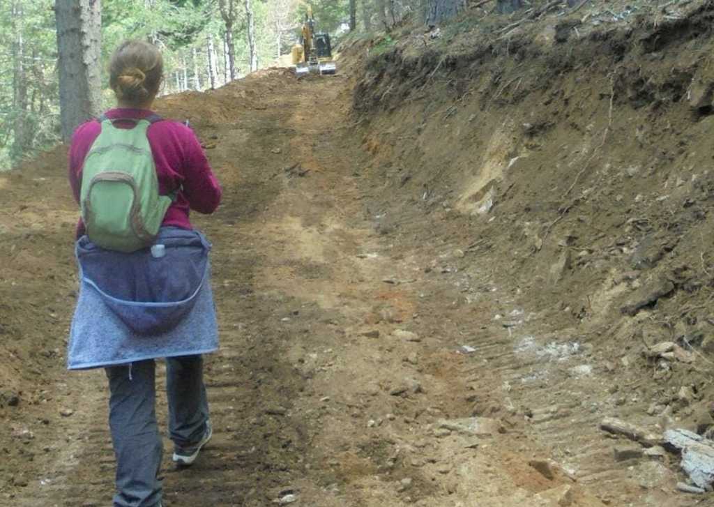 Caminando-sobre-pista-forestal-1080x778