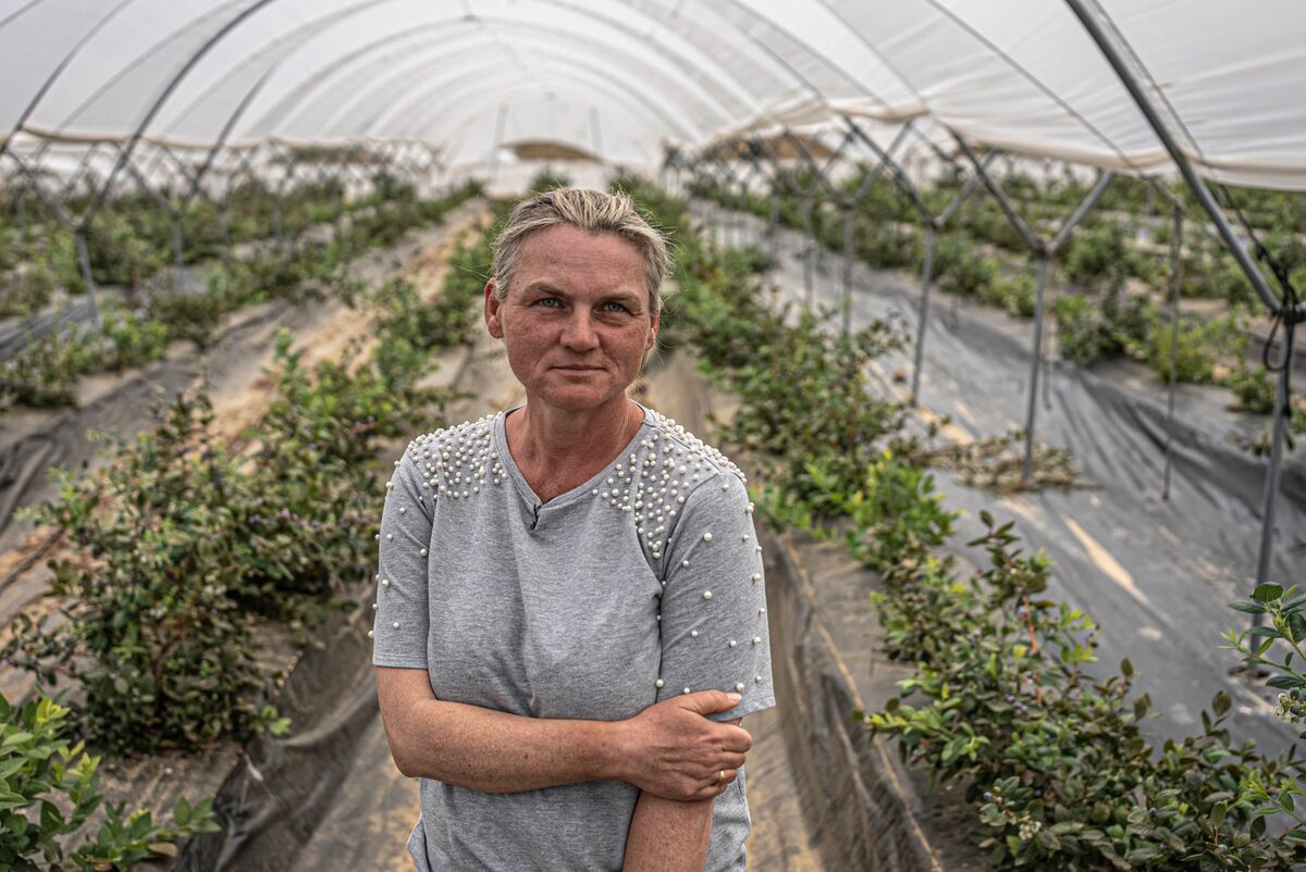 Pablo-Tosco-Oxfam-Intermon.