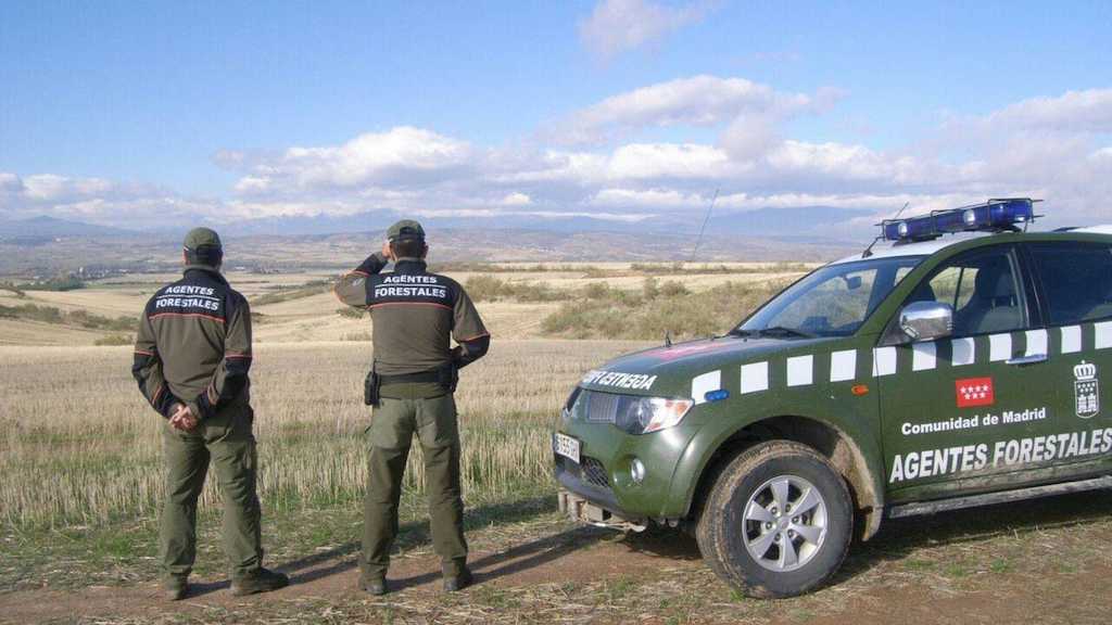 agentes-forestales-madrid-2-1709717340
