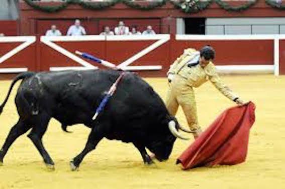 Fandiño toros