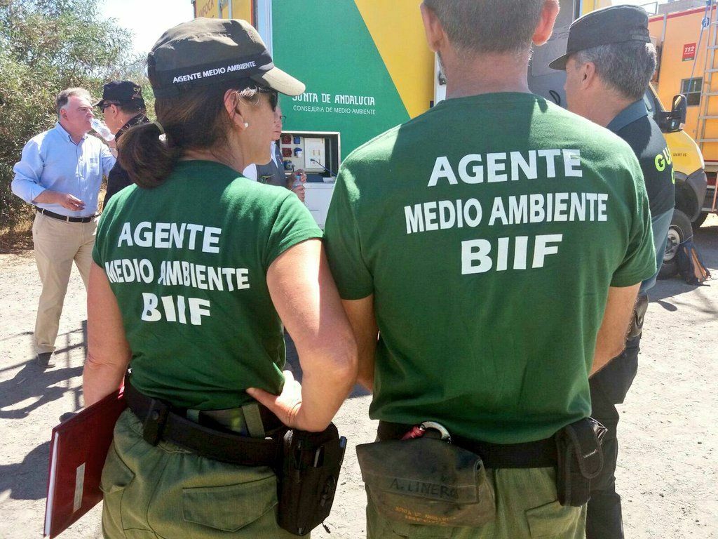 Agentes medio ambiente BIF