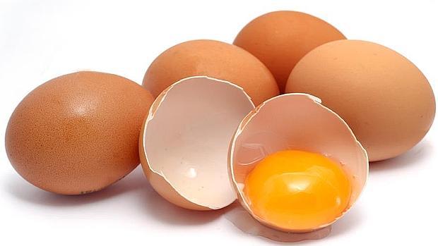 Holanda comienza un programa de vacunación en granjas de gallinas contra la gripe aviar 
