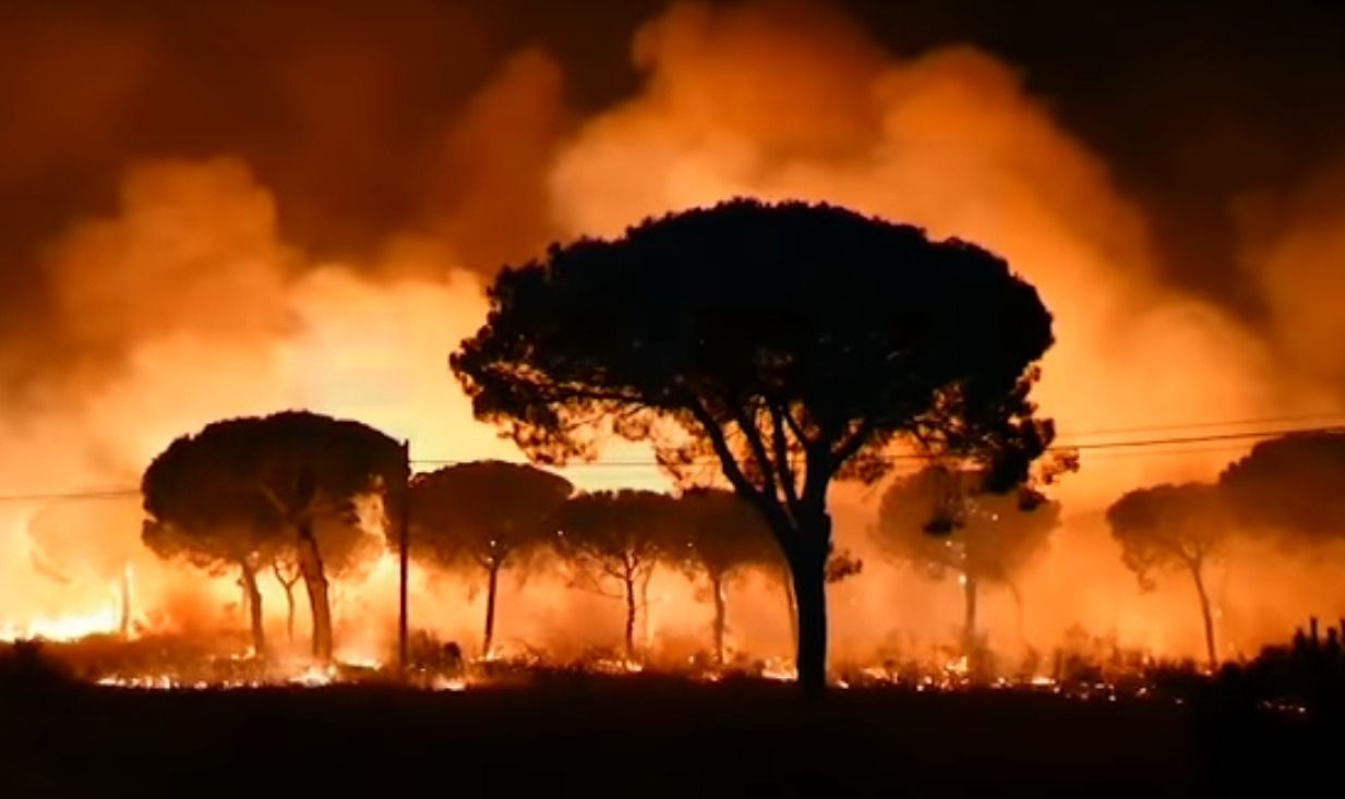 incendio-forestal-donana