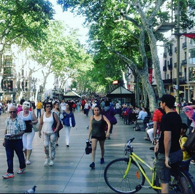 15. T'estimo Barcelona 15. T'estimo Barcelona