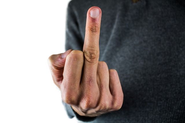 middle-finger-2790310_640