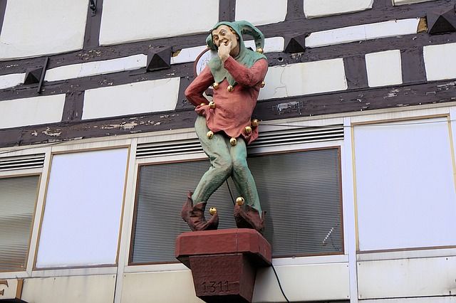 Estulticia, estúpido, tonto