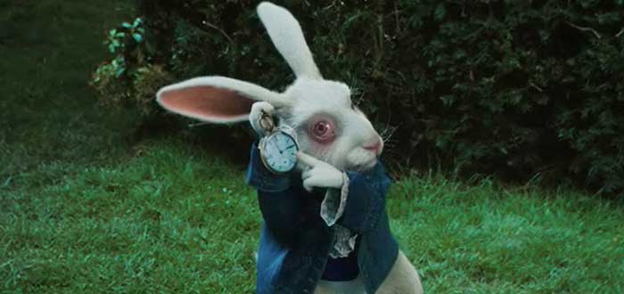 "Conejo Blanco". Capítulo IV. Akahatá